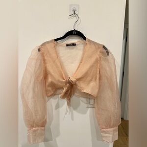 NWT Nasty Gal Sheer Tie Cropped Top